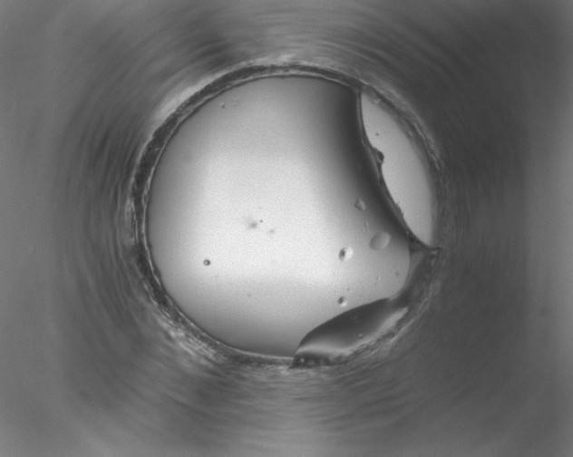 X0000076430876200611031837