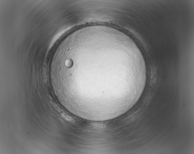 X0000076430878200611031837