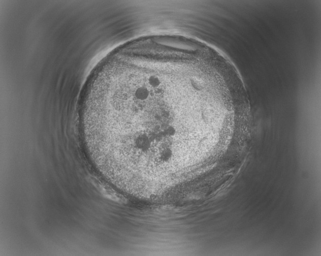 X0000076430879200611031837