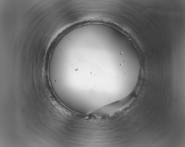 X0000076430880200611031837