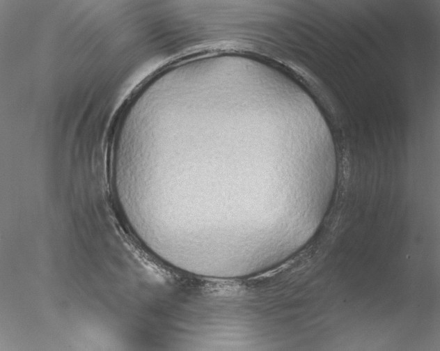 X0000076430886200611031836