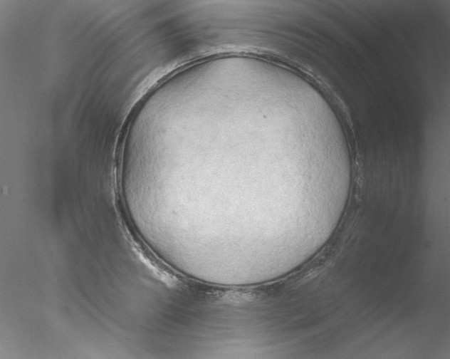 X0000076430890200611031836