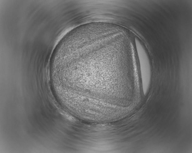 X0000076430891200611031836