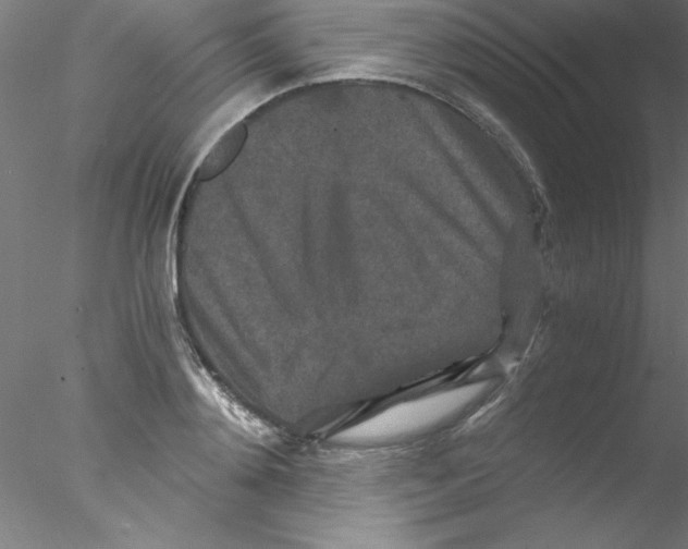 X0000076430892200611031836