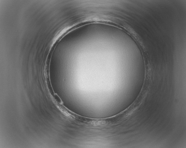 X0000076430893200611031836