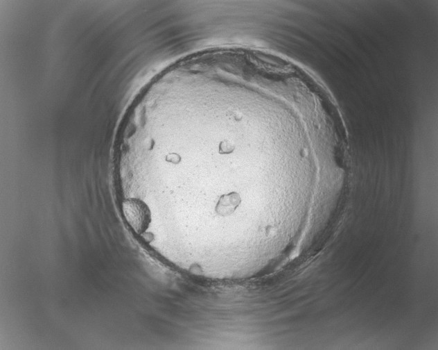 X0000076430895200611031836