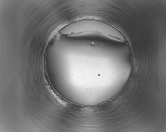 X0000076430898200611031836