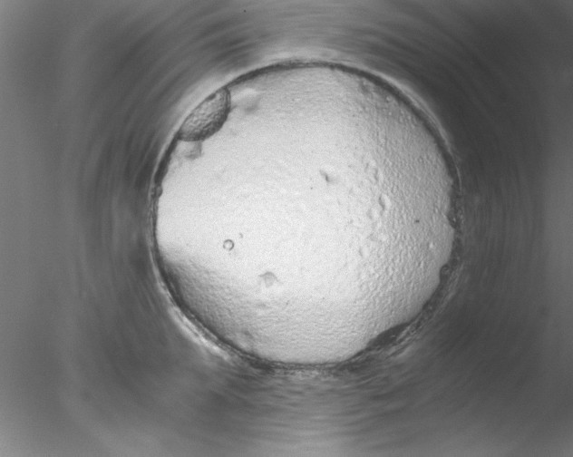 X0000076430903200611031836