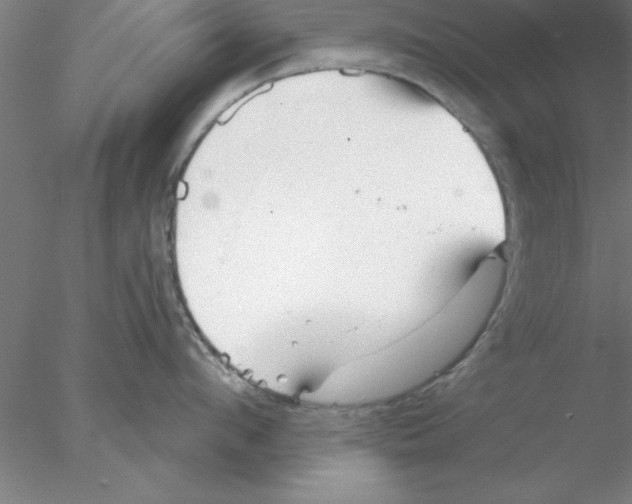 X0000076430912200611031836