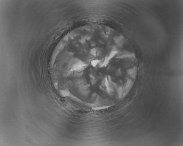 X0000076430913200611031835