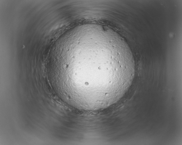 X0000076430917200611031835