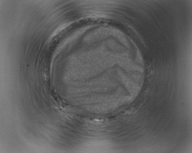 X0000076430919200611031835