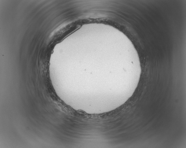 X0000076430920200611031835