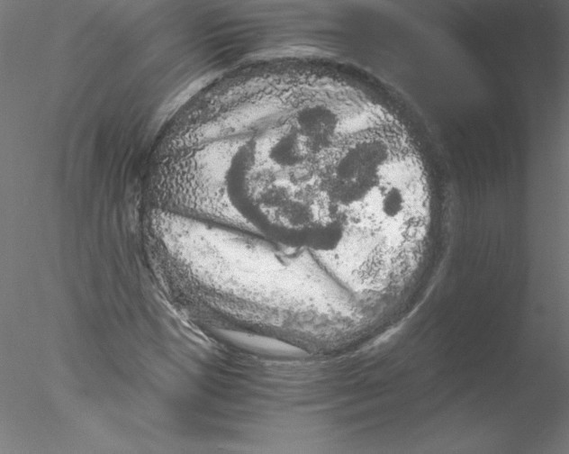 X0000076430921200611031835