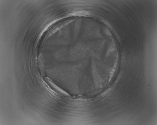 X0000076430923200611031835