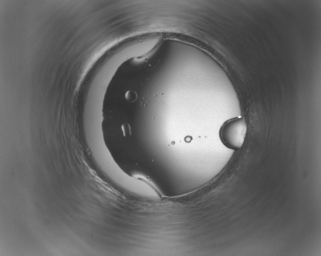 X0000076430926200611031835