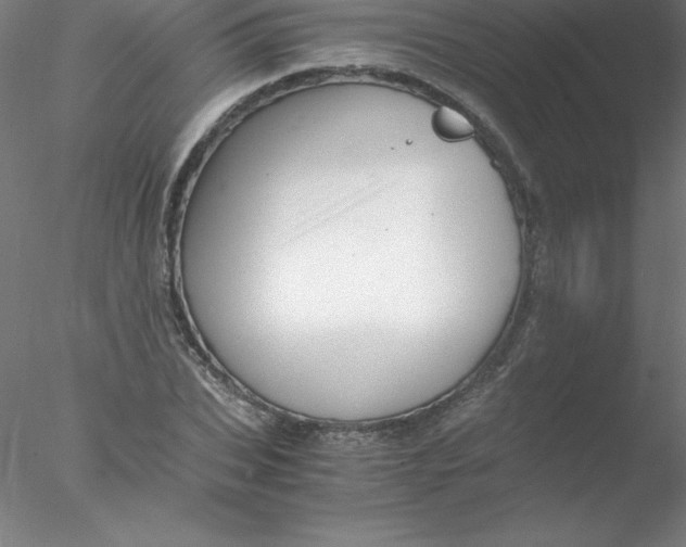 X0000076430927200611031835