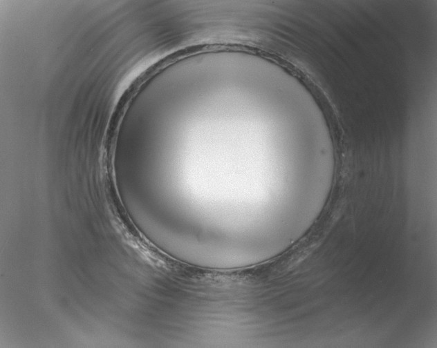 X0000076430928200611031835