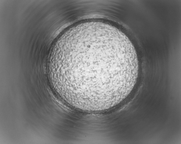 X0000076430929200611031835