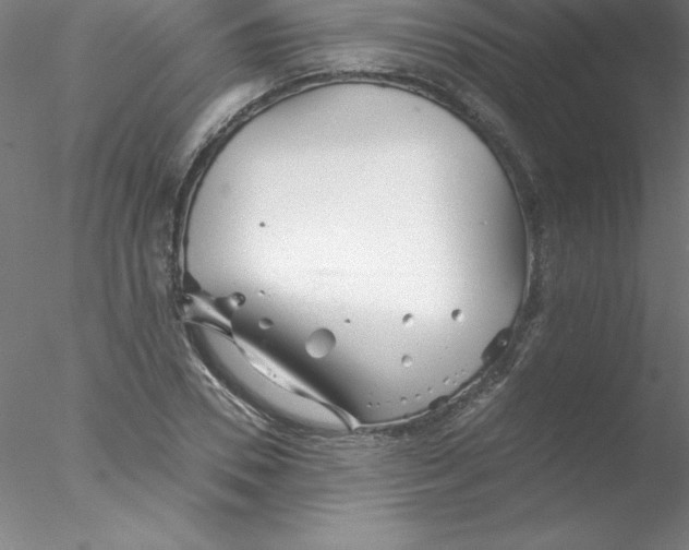 X0000076430930200611031835