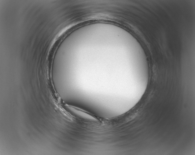 X0000076430931200611031835