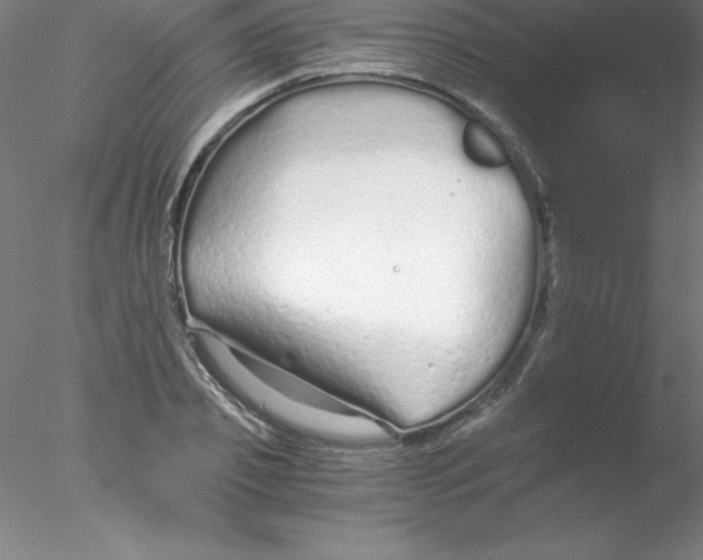 X0000076430933200611031836