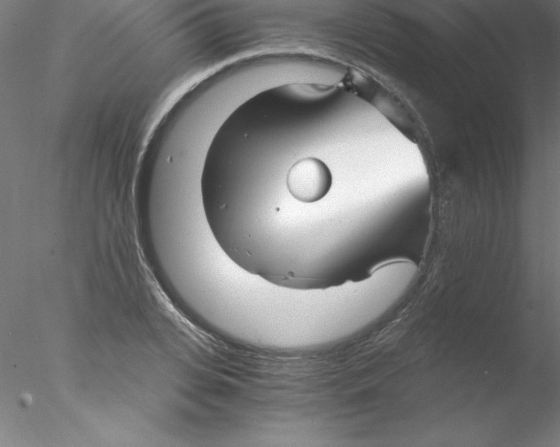 X0000076430935200611031836