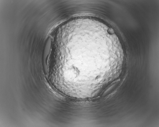 X0000076430937200611031836