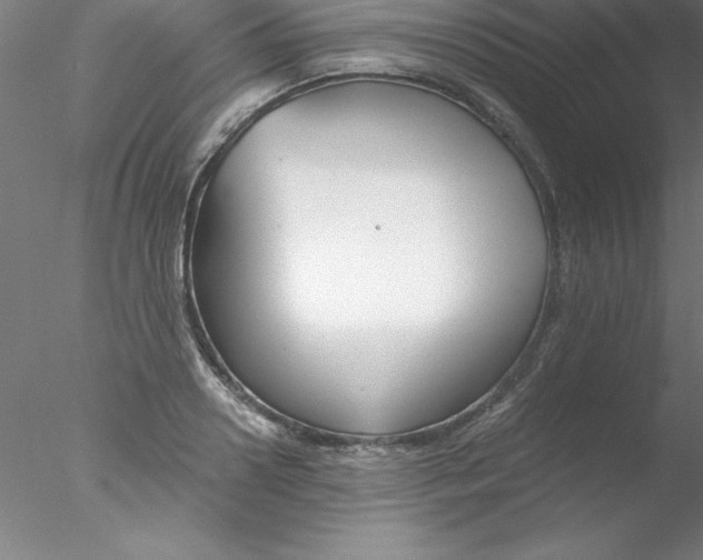 X0000076430938200611031836