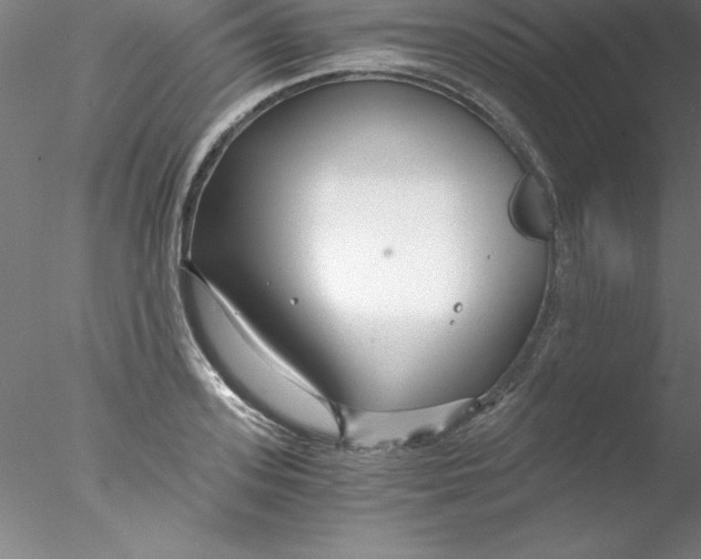 X0000076430939200611031836