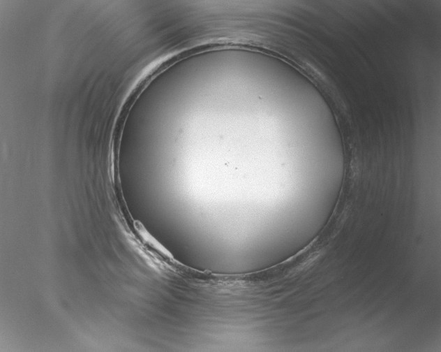 X0000076430940200611031836