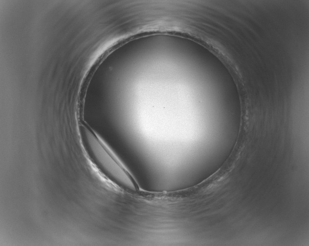 X0000076430942200611031836