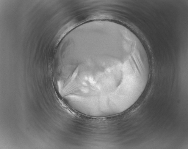 X0000076430945200611031836