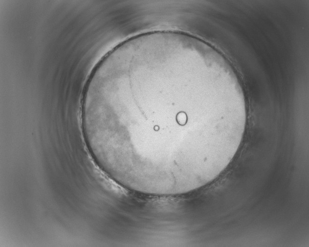 X0000076430950200611031836