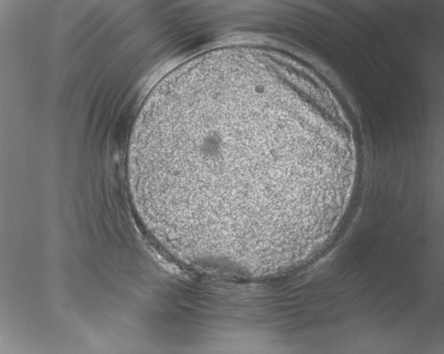 X0000076430953200611031836