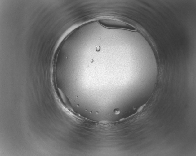 X0000076430955200611031836