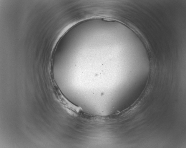 X0000076430956200611031836