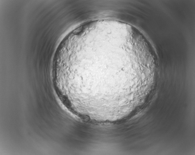 X0000076430957200611031836