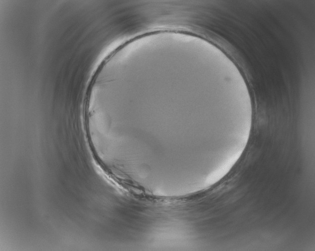 X0000076430958200611031836