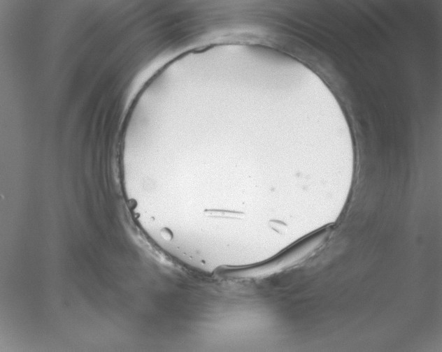 X0000076430960200611031836