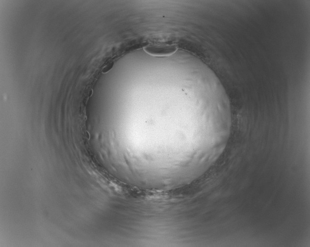 X0000076430961200611031835