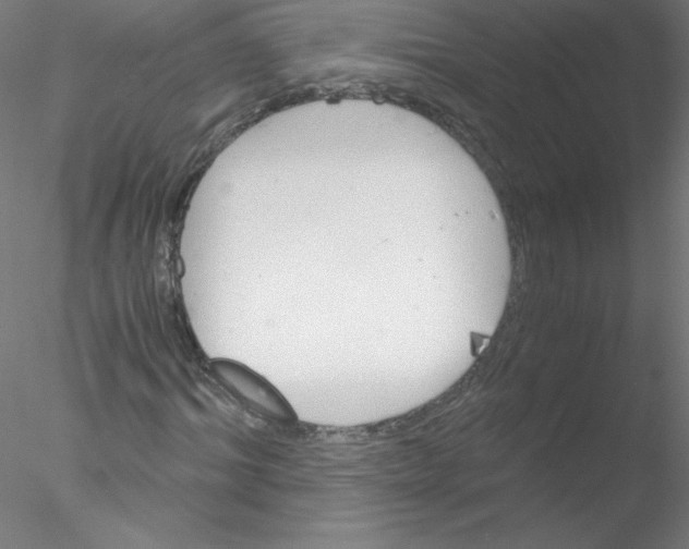 X0000076430964200611031835