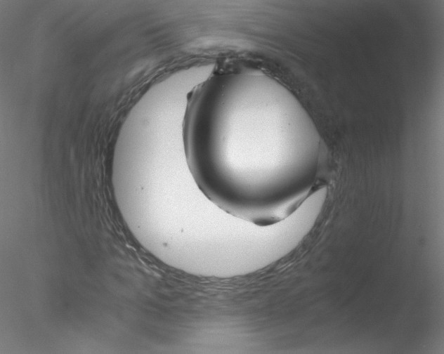 X0000076430965200611031835