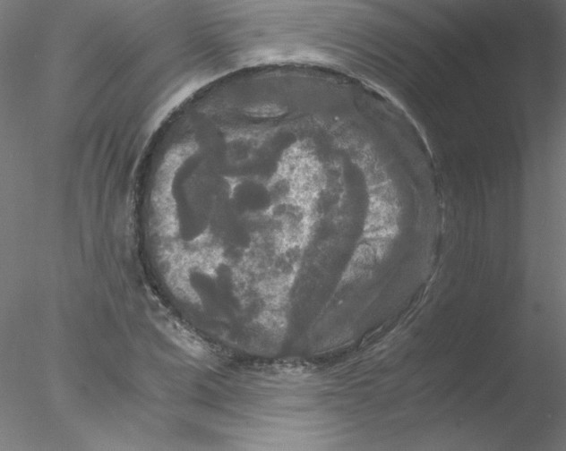 X0000076430975200611031835