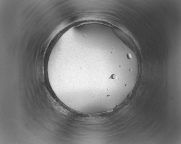 X0000076430980200611031835