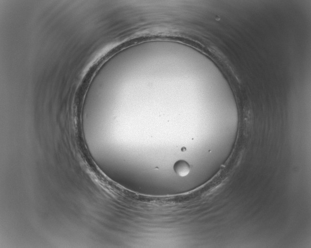 X0000076430981200611031835