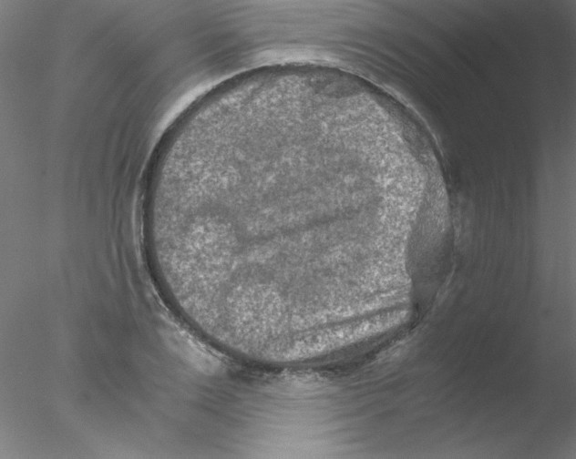 X0000076430983200611031835