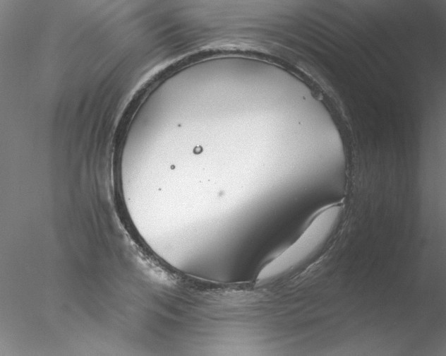 X0000076430984200611031835