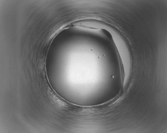 X0000076430985200611031835