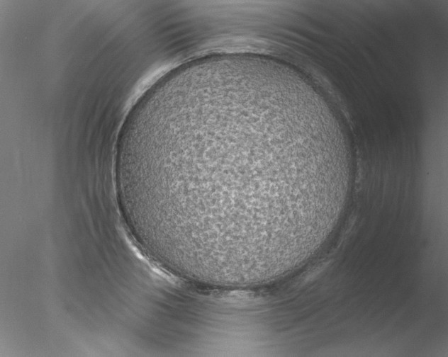 X0000076430986200611031835